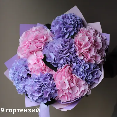 Букет из разных гортензий нежных цветов - заказать доставку цветов в Москве  от Leto Flowers