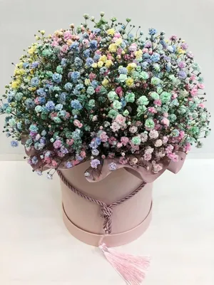 Букет живых цветов/ Цветы в подарок / гипсофила /цветы bonfan 32866563  купить в интернет-магазине Wildberries