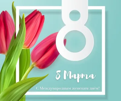 8 марта Международный женский день Праздник Женщина, март, Организация  цветов, люди, растение Стебель png | PNGWing
