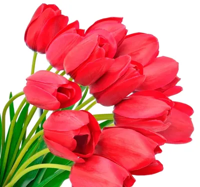 8 марта цветы вафельная картинка | Магазин Домашний Пекарь