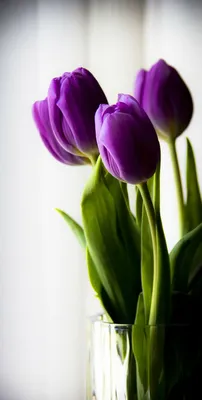 открытки 8 марта цветы красиво | Цветочное искусство, Винтаж открытки,  Открытки
