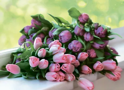 Обои Праздничные Международный женский день - 8 марта, обои для рабочего  стола, фотографии праздничные, международный женский день - 8 марта, heart,  love, colorful, wood, тюльпаны, 8, марта, romantic, tulips, сердце, букет,  spring,