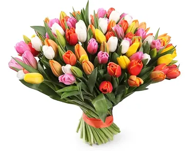 Тюльпаны розовые на 8 марта — купить в Екатеринбурге