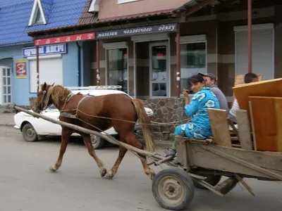 Фото Цыгане в городе Свалява