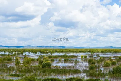 Цинхай Хуаху изображение_Фото номер 500621211_JPG Формат  изображения_ru.lovepik.com