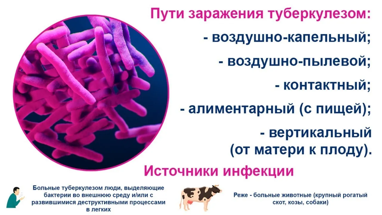 Туберкулез передается путем. Пути заражения туберкулезом. Основной путь инфицирования туберкулезом. Туберкулёз способы заражения.