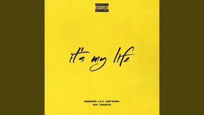 It's My Life (feat. TumaniYO) - YouTube