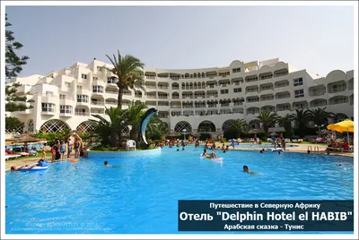 HOTEL DELPHIN EL HABIB MONASTIR (Тунис/Монастир) - отзывы, фото и сравнение  цен - Tripadvisor