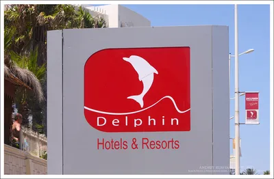 Отель Hotel Delphine El Habib 4* (Тунис, Монастир)