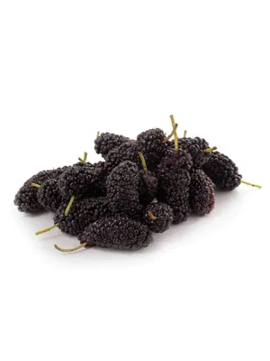 Тутовник (шелковица) черный, Азербайджан 1000 г FreshPlace 29740209 купить  в интернет-магазине Wildberries