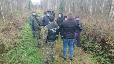 На ночь глядя: только не говядина, погиб журналист, звезды идут в Госдуму и Тверские  волки - AmurMedia.ru