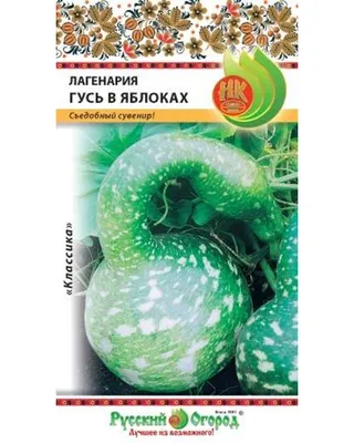 Семена тыква Русский огород F1 Гусь в яблоках 304040 1 уп. - купить в  Москве, цены на Мегамаркет