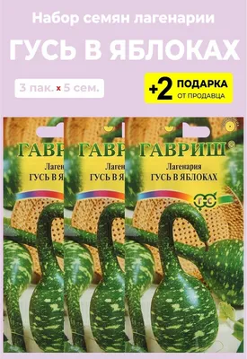 Семена Лагенария \"Гусь в яблоках\", 3 упаковки + 2 подарка — купить в  интернет-магазине по низкой цене на Яндекс Маркете