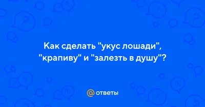 Как лошадь в Петербурге изувечила прохожего 10 декабря 2020 и кто за это  ответит - 10 декабря 2020 - Фонтанка.Ру