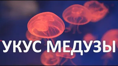 Что делать, если ужалила медуза | Купрум