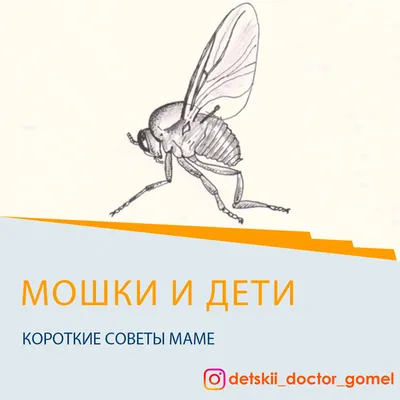 Мошки и дети | Детский доктор