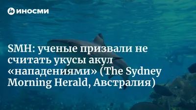 Большая белая акула напала на туристку в Африке: 26 сентября 2022, 01:02 -  новости на Tengrinews.kz