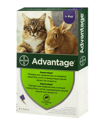 Купить Адвантейдж 80 капли от блох и клещей для кошек от 4 до 8 кг,  Advantage 0,8 мл, цена 490 грн — Prom.ua (ID#1485903291)