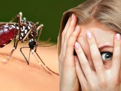 Лето и его опасности: укусы насекомых - Рамблер/женский