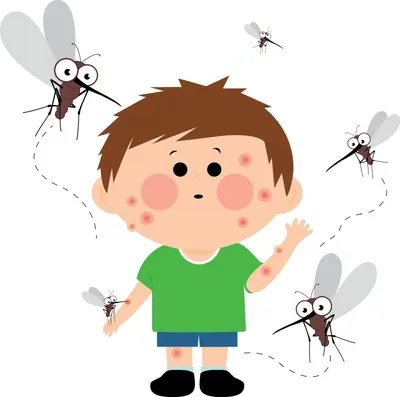 Аллергия на укусы насекомых: клопов, комаров, блох