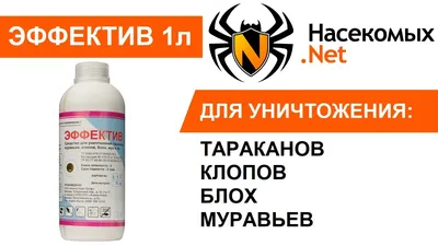 Укусы постельных клопов у детей: опасность, симптомы и где можно заразиться