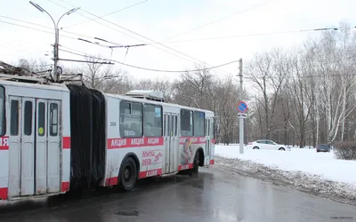 Фотографии банного комплекса \"Жар-Птица\"