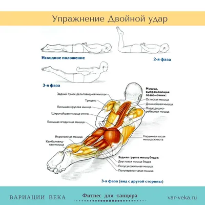 Топ-10 упражнений для здоровой спины и красивой осанки.