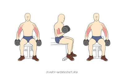 Упражнение для рук с гантелями Женский портал: гороскопы, новости зве� |  Модница | Постила