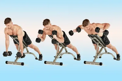 Тренировка для мощной спины — 4 лучших упражнения на трапеции с гантелями |  Фитсевен | Дзен