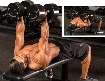 Упражнения с гантелями на мышцы спины. Использованы фотографии из книги Ф.  Делавье \"Анатомия силовых упражнений\".