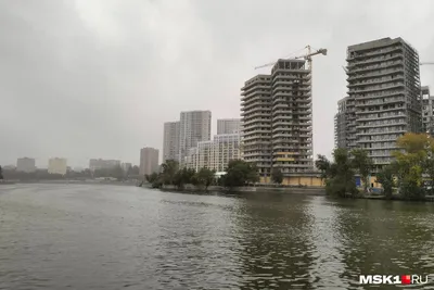 Осень в Москве, фоторепортаж с дождливых сентябрьских улиц столицы - 19  сентября 2022 - msk1.ru