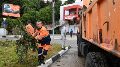 Около 12 тысяч жителей Смоленской области остались без света после урагана  - РИА Новости, 07.08.2023