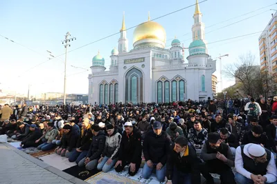 https://www.kp.ru/family/prazdniki/otkrytki-na-uraza-bajram/