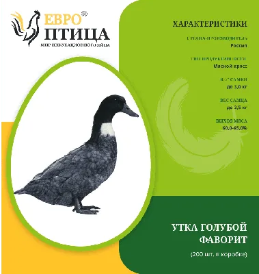 Утка Голубой Фаворит РФ Краснодар купить в интернет-магазине «ЕвроПтица» с  доставкой в Новосибирске и России