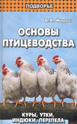 Ниппельная поилка для птицы - кур, цыплят, голубей, уток, перепелов 2 шт +  Штуцер - купить с доставкой по выгодным ценам в интернет-магазине OZON  (822537478)