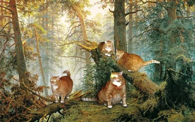 Утро котов в сосновом лесу. Кошачий лес, прикольные и смешные картинки,  забавные фото и обои с юмором для рабочего стола, Full HD 1920