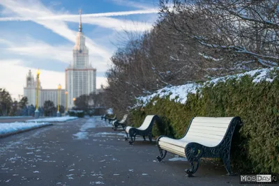 Москва | Фотографии | №38.597 (Морозное утро около МГУ)