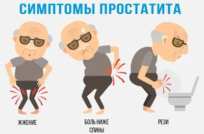 Лечение простатита у мужчин: симптомы, диагностика, цены на лечение  воспаленияе предстательной железы в Москве - клиника IMMA