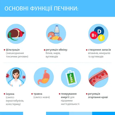Всё о здоровье печени: заболевания, симптомы, профилактика -  The-Challenger.ru