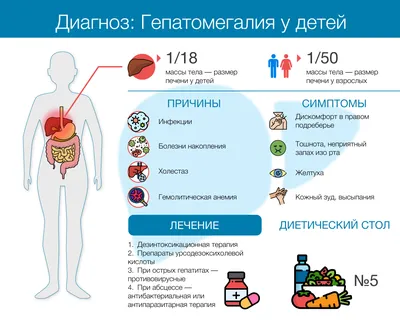 Гепатомегалия у детей. Как лечить увеличенную печень? | Все о печени.ру