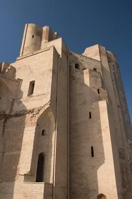 Большой портал аксарай белый дворец амира тимура узбекистан шахрисабз  архитектура азии | Премиум Фото