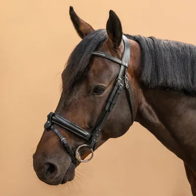 English or Western Saddle Horse Brown or Black Bitless Bridle Sidepull w/  Reins | eBay