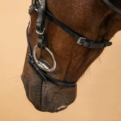 Уздечка для лошади Horse Stall кожаная украшенная. Уздечки для лошадей с  трензелем. (ID#842093905), цена: 651 ₴, купить на Prom.ua