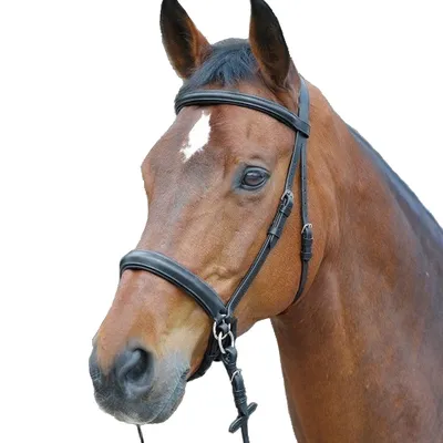 Уздечка безтрензельная Bitless Bridle Star, Waldhausen ⏩ Купить в Украине в  Киеве ⭐️ KONI.UA ⭐️