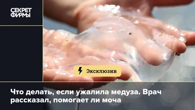 Visavia.moscow2 - Что делать, если вас ужалила медуза? ⠀ Не паникуйте!  Главное - сразу начать предпринимать меры. ⠀ 📌 Промойте место укуса  уксусом - она нейтрализует яд. 📌 Во время промывания укусусом,