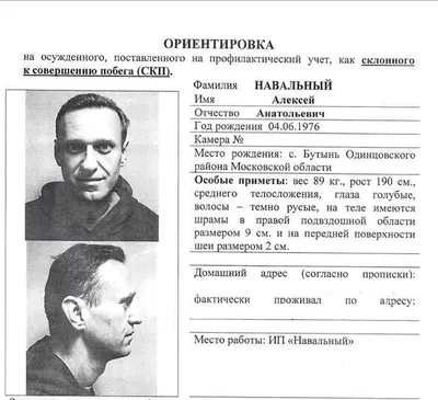 Навальному в тюрьме составили психологический портрет - на случай, если он  отправится в бега | Граммарнаци | Дзен