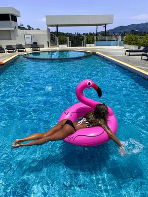 Girl on an inflatable flamingo in the pool. Flamingo float. Swimsuit with  flamingos. Swimming pool party.Девушка на надувном фламинго в бассейне.  Фламинго плавают. Купальник с фламинго. Вечеринка у ба Stock Photo |