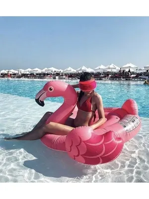 Надувной круг для плавания розовый Фламинго 120 см, плавательный матрас для  бассейна - купить с доставкой по выгодным ценам в интернет-магазине OZON  (209948014)