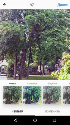 Обработка фото для Инстаграм: как обрабатывать фотографии красиво в одном  стиле