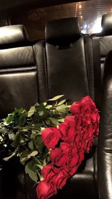 каллы подарок цветы фото в машине: 2 тыс изображений найдено в  Яндекс.Картинках | Iphone hintergrund rosa, Blumen hintergrund iphone,  Schöne hintergrund bilder